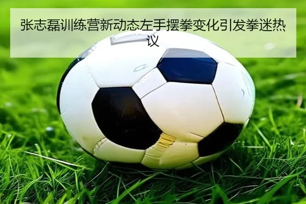 张志磊训练营新动态左手摆拳变化引发拳迷热议